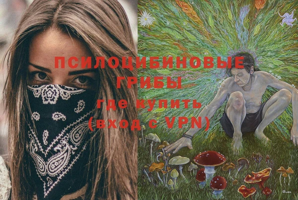 2c-b Покачи
