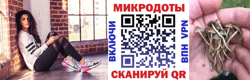 Псилоцибиновые грибы мицелий блэк спрут вход Уржум